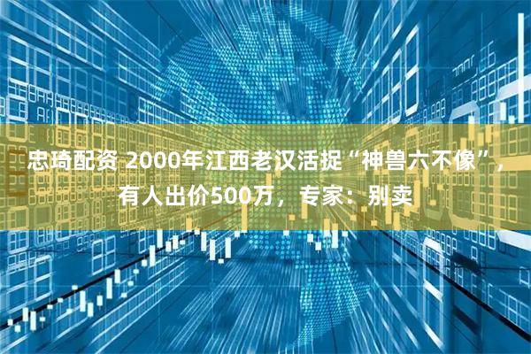 忠琦配资 2000年江西老汉活捉“神兽六不像”，有人出价500万，专家：别卖