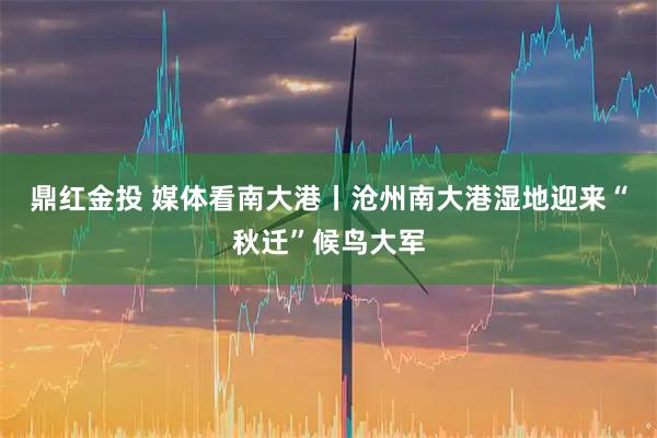 鼎红金投 媒体看南大港丨沧州南大港湿地迎来“秋迁”候鸟大军