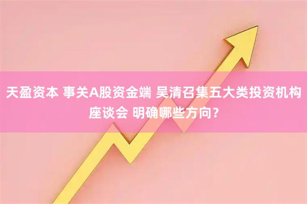 天盈资本 事关A股资金端 吴清召集五大类投资机构座谈会 明确哪些方向？